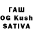 Cannafood конопля Ilya Bach