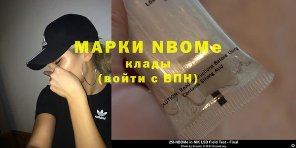 гашик Аркадак