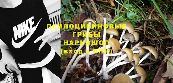прущие крисы Арсеньев