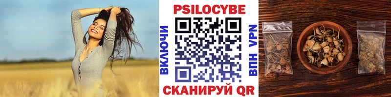 кракен сайт  где продают   Озёрск  Псилоцибиновые грибы Magic Shrooms 
